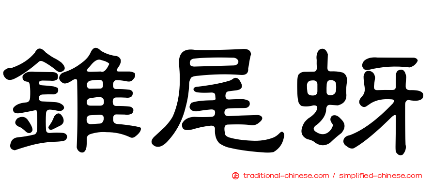 錐尾蚜