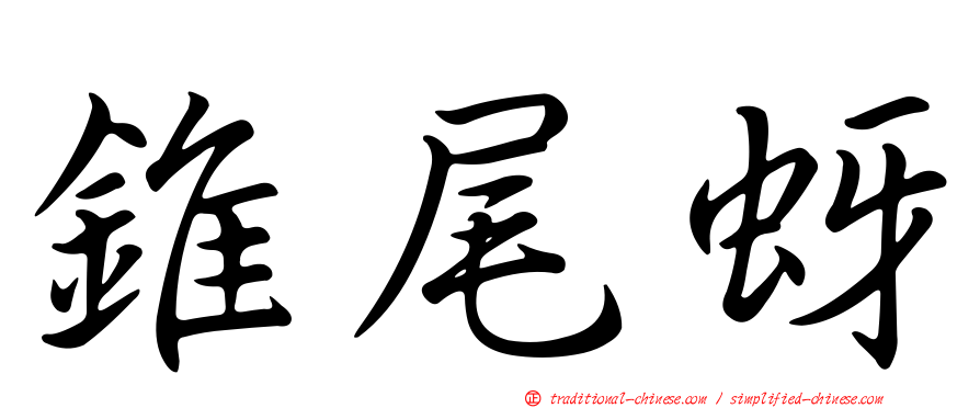 錐尾蚜