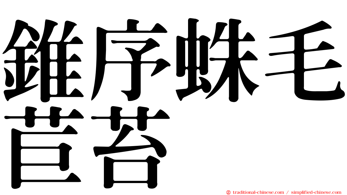 錐序蛛毛苣苔