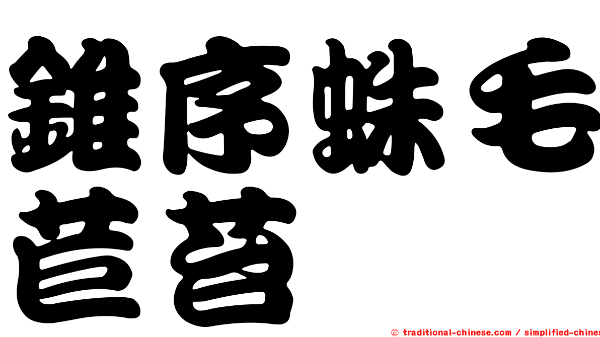 錐序蛛毛苣苔