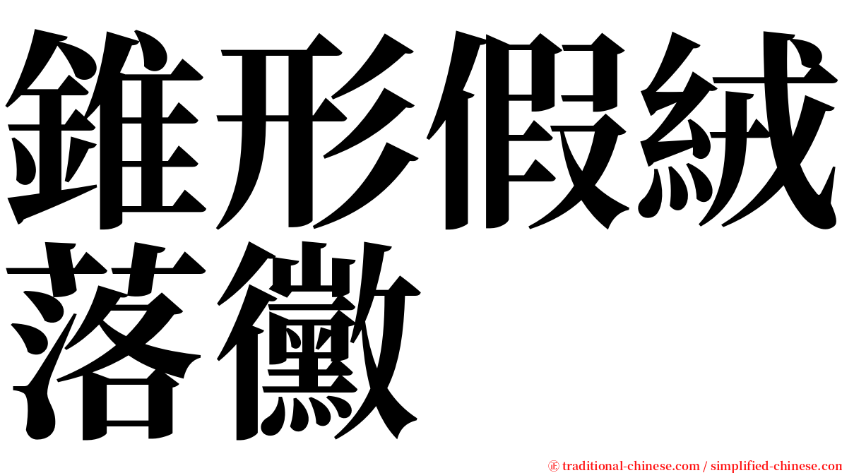 錐形假絨落黴 serif font