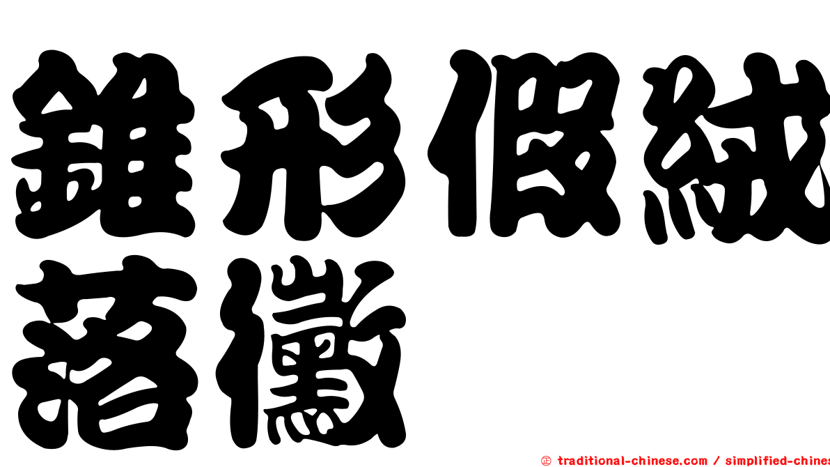 錐形假絨落黴