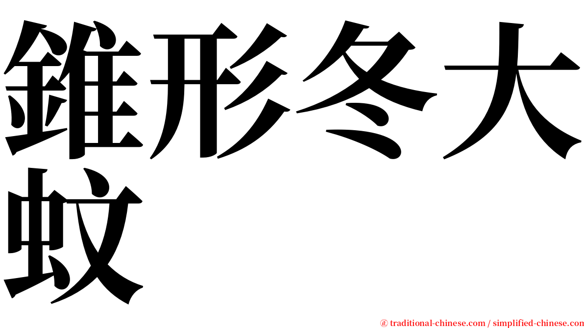 錐形冬大蚊 serif font