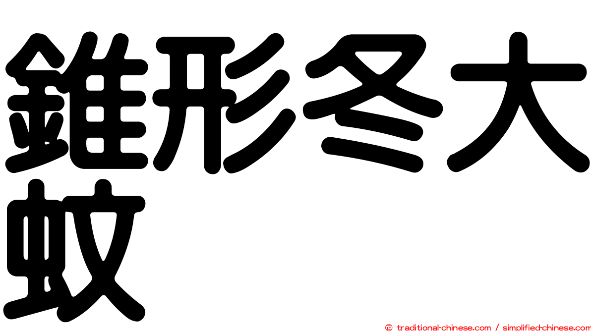 錐形冬大蚊