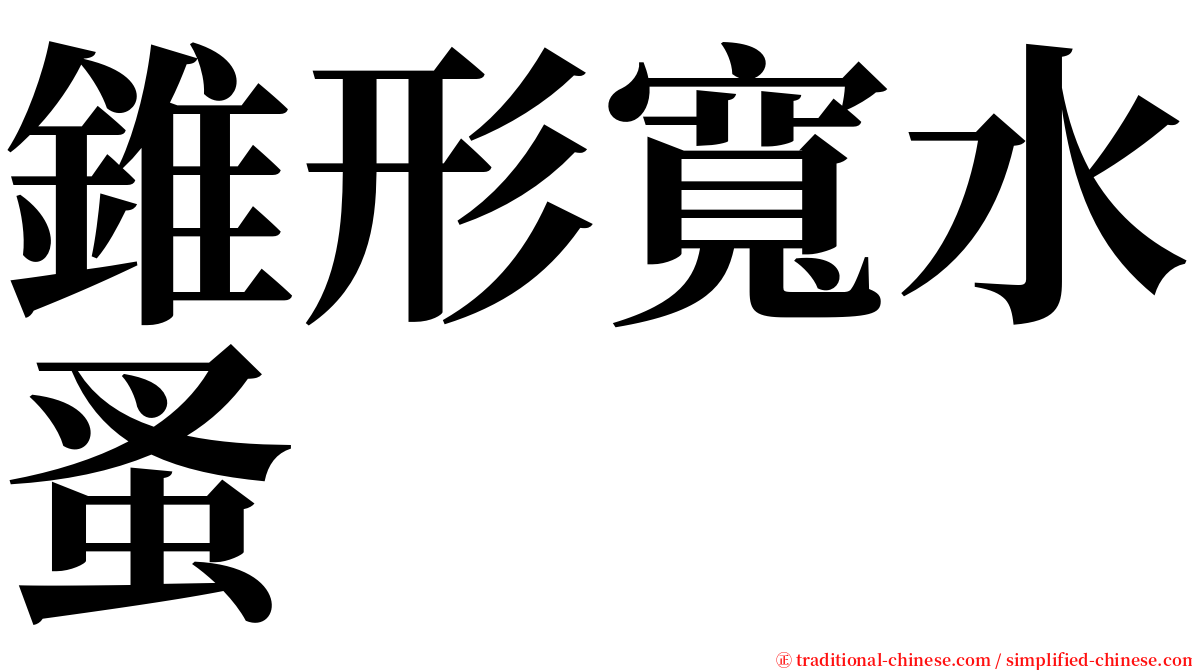 錐形寬水蚤 serif font