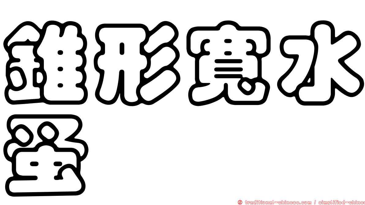 錐形寬水蚤