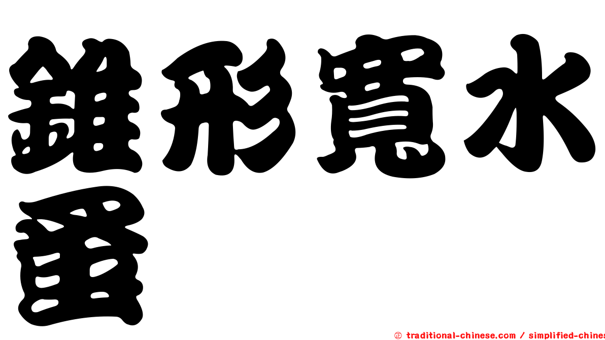 錐形寬水蚤