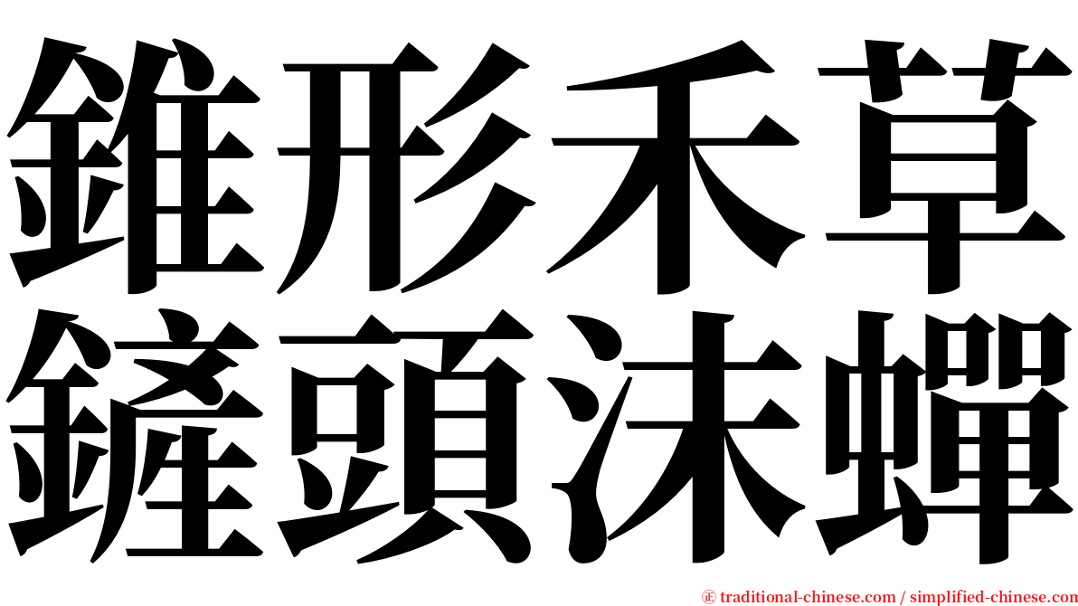 錐形禾草鏟頭沫蟬 serif font