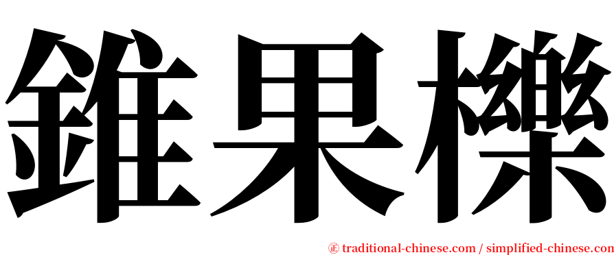 錐果櫟 serif font