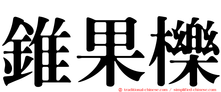 錐果櫟