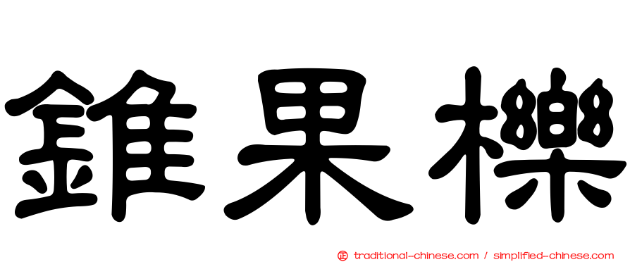 錐果櫟