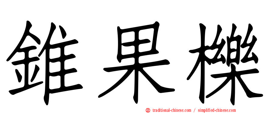 錐果櫟