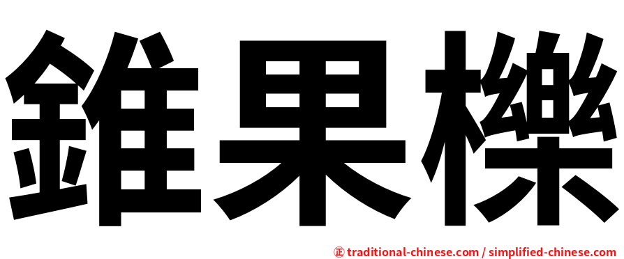 錐果櫟