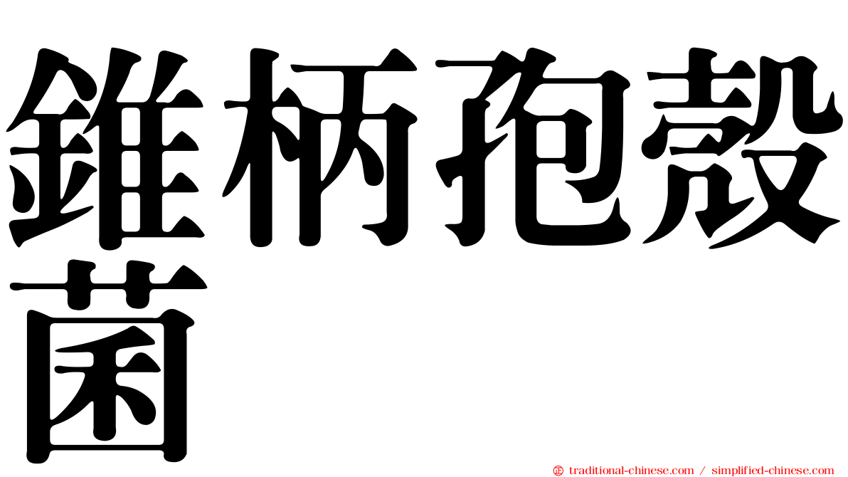 錐柄孢殼菌