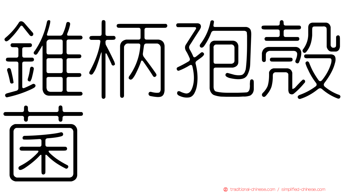 錐柄孢殼菌