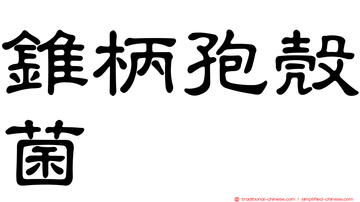 錐柄孢殼菌