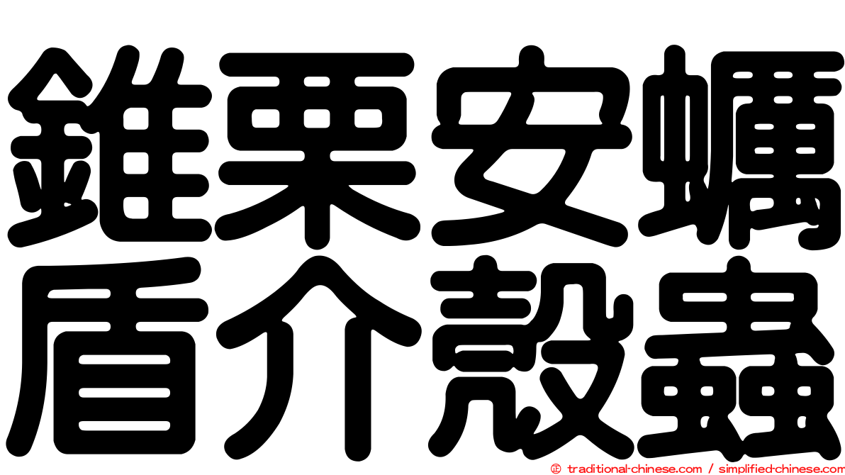 錐栗安蠣盾介殼蟲