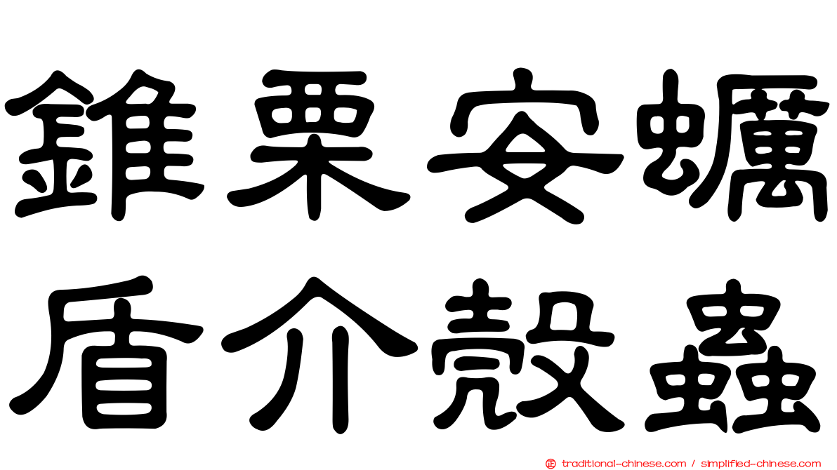 錐栗安蠣盾介殼蟲