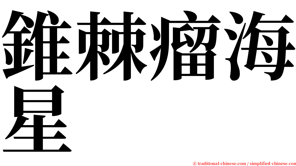 錐棘瘤海星 serif font