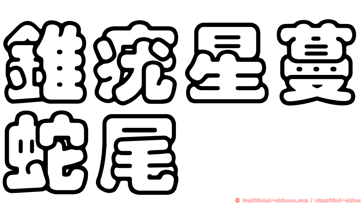 錐疣星蔓蛇尾