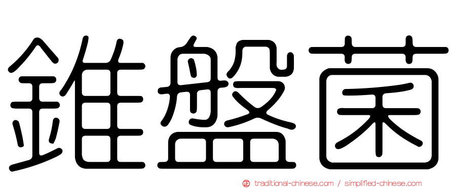 錐盤菌