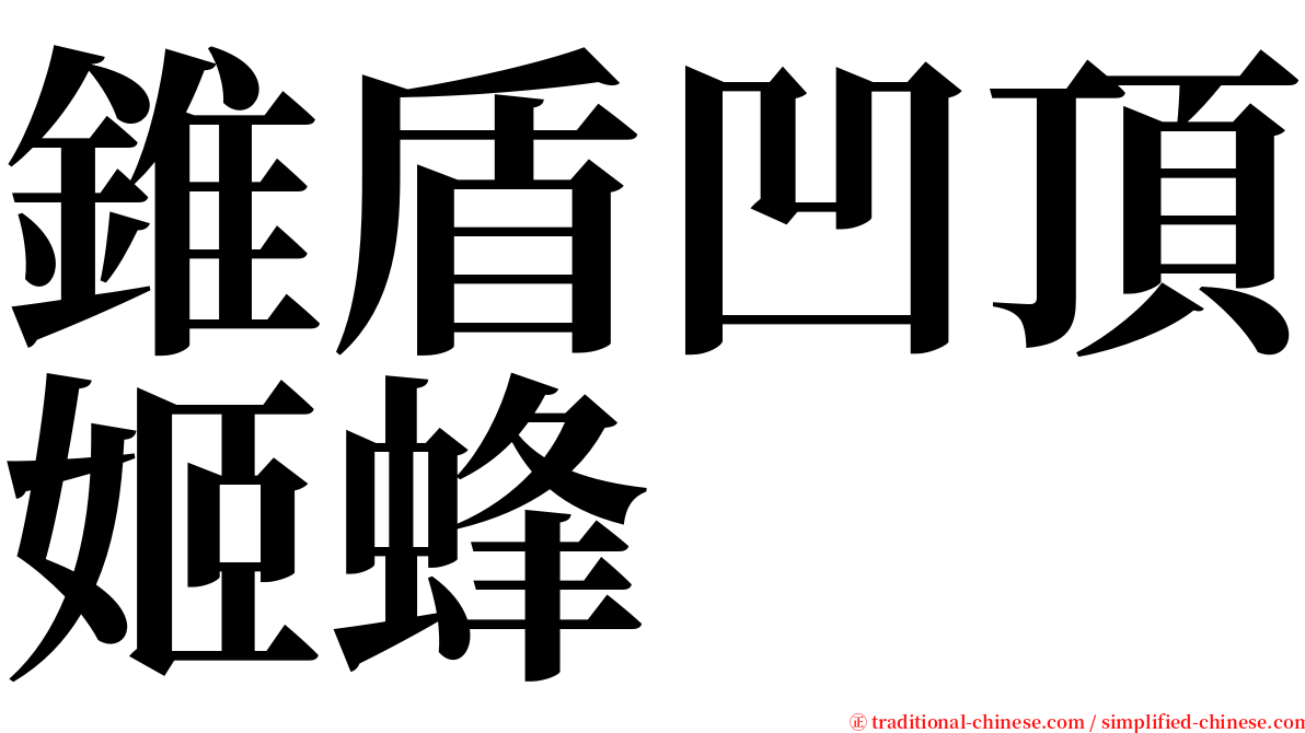 錐盾凹頂姬蜂 serif font