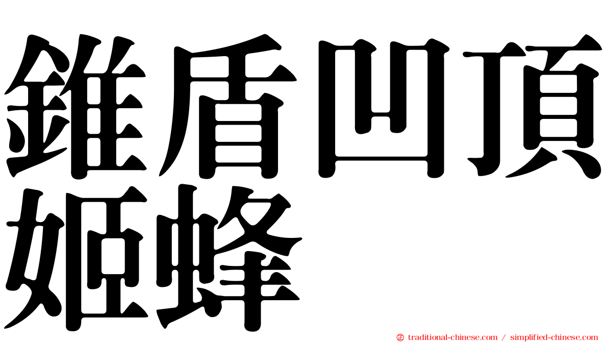錐盾凹頂姬蜂