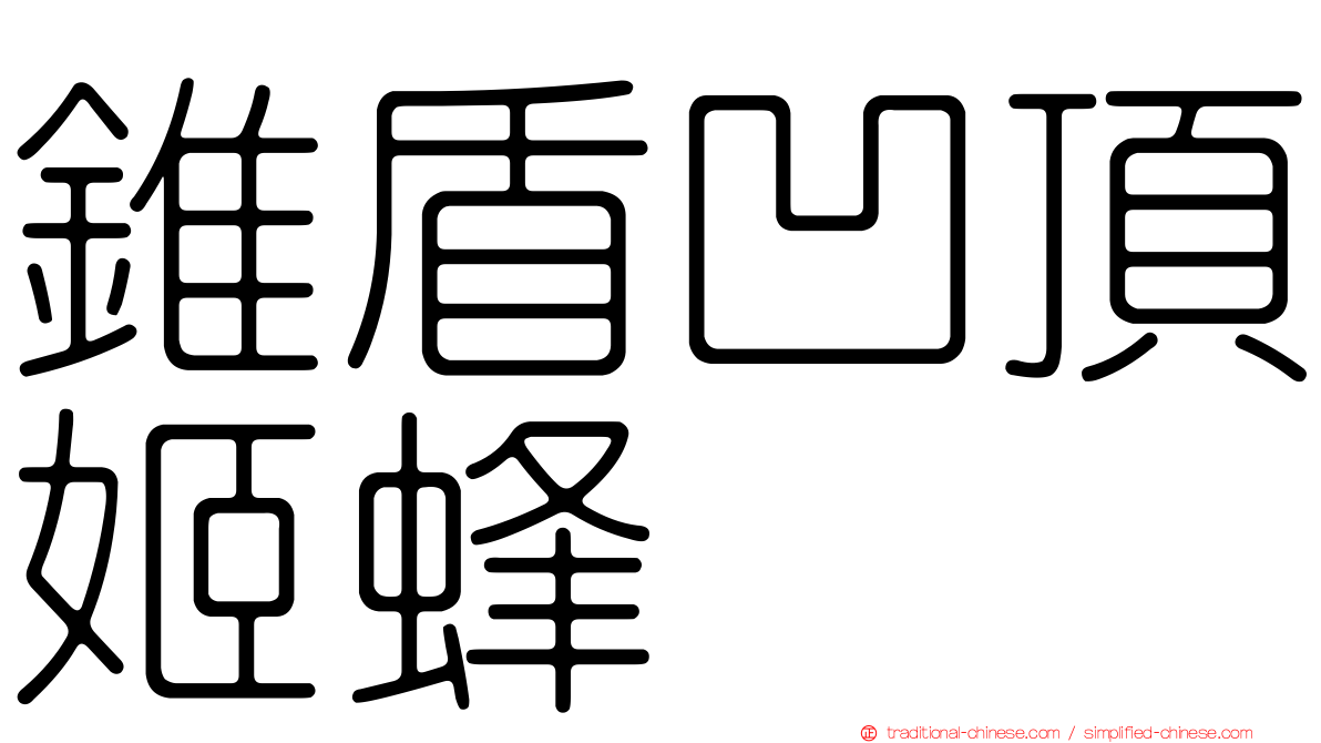 錐盾凹頂姬蜂