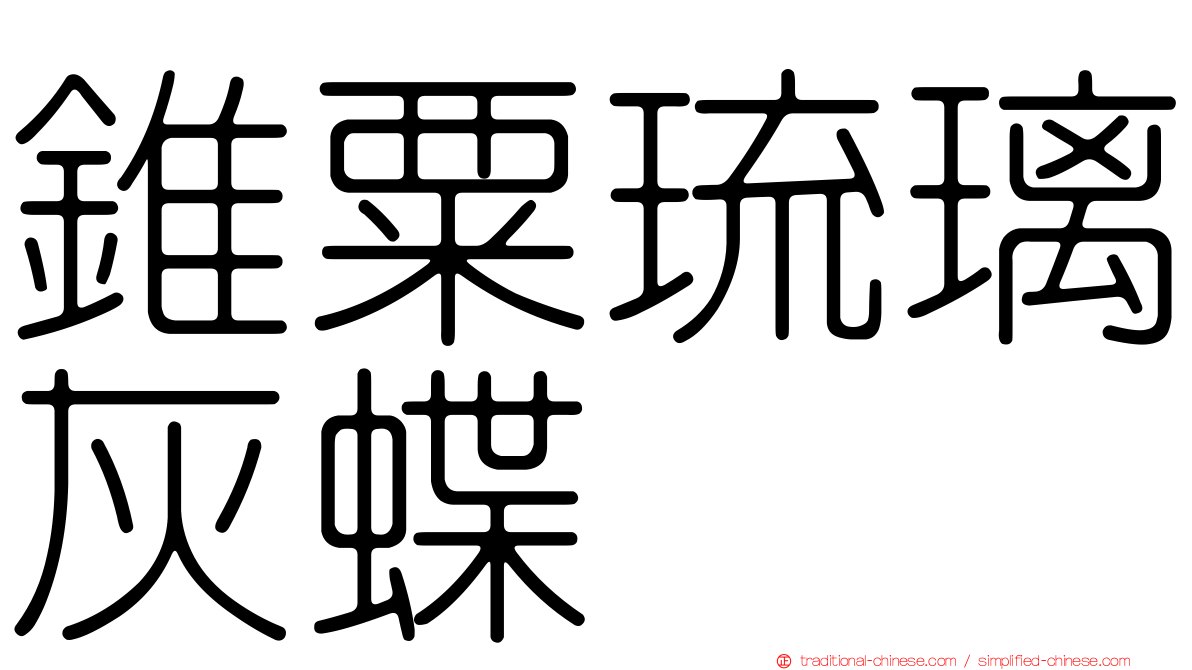 錐粟琉璃灰蝶