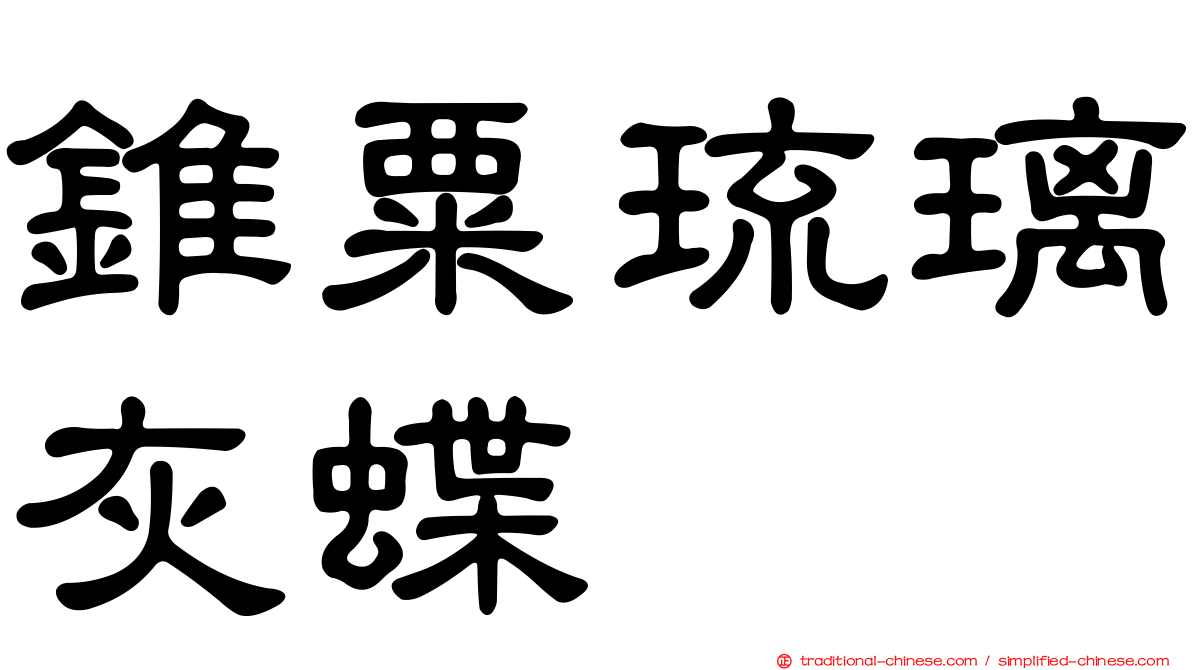 錐粟琉璃灰蝶