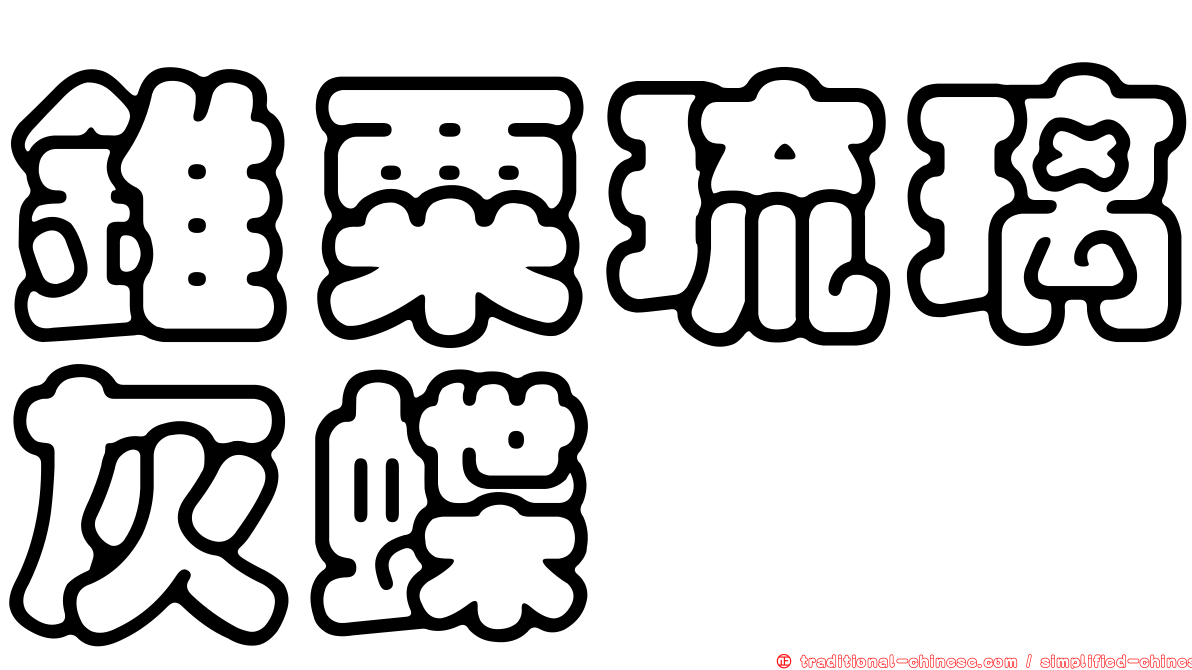 錐粟琉璃灰蝶