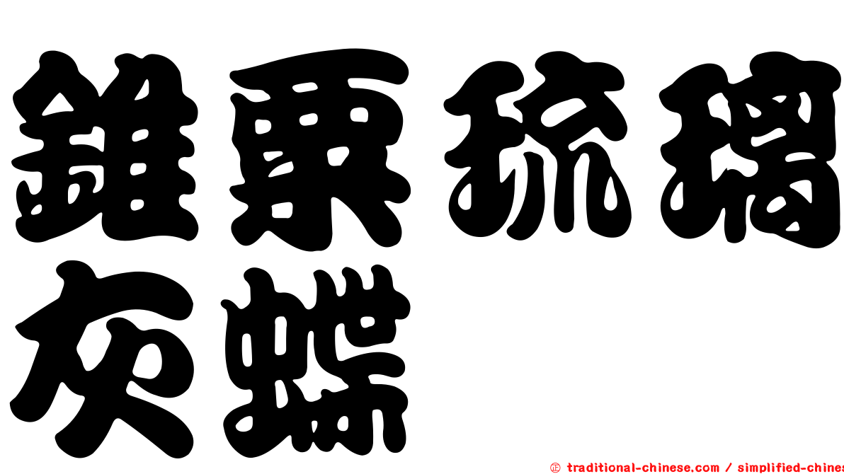 錐粟琉璃灰蝶