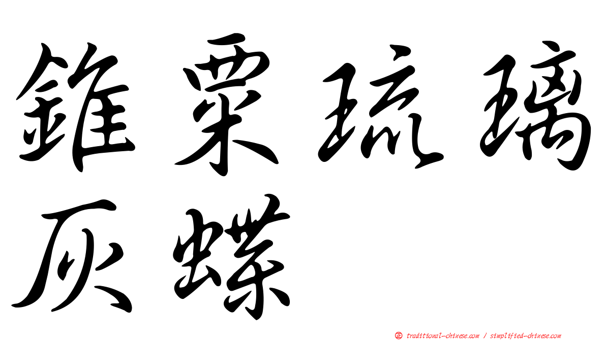 錐粟琉璃灰蝶