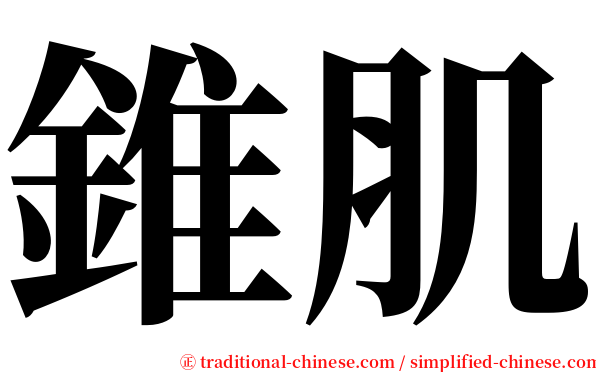 錐肌 serif font