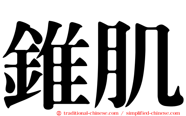 錐肌