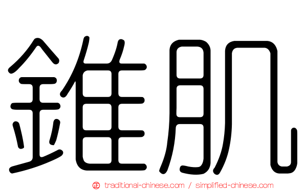 錐肌