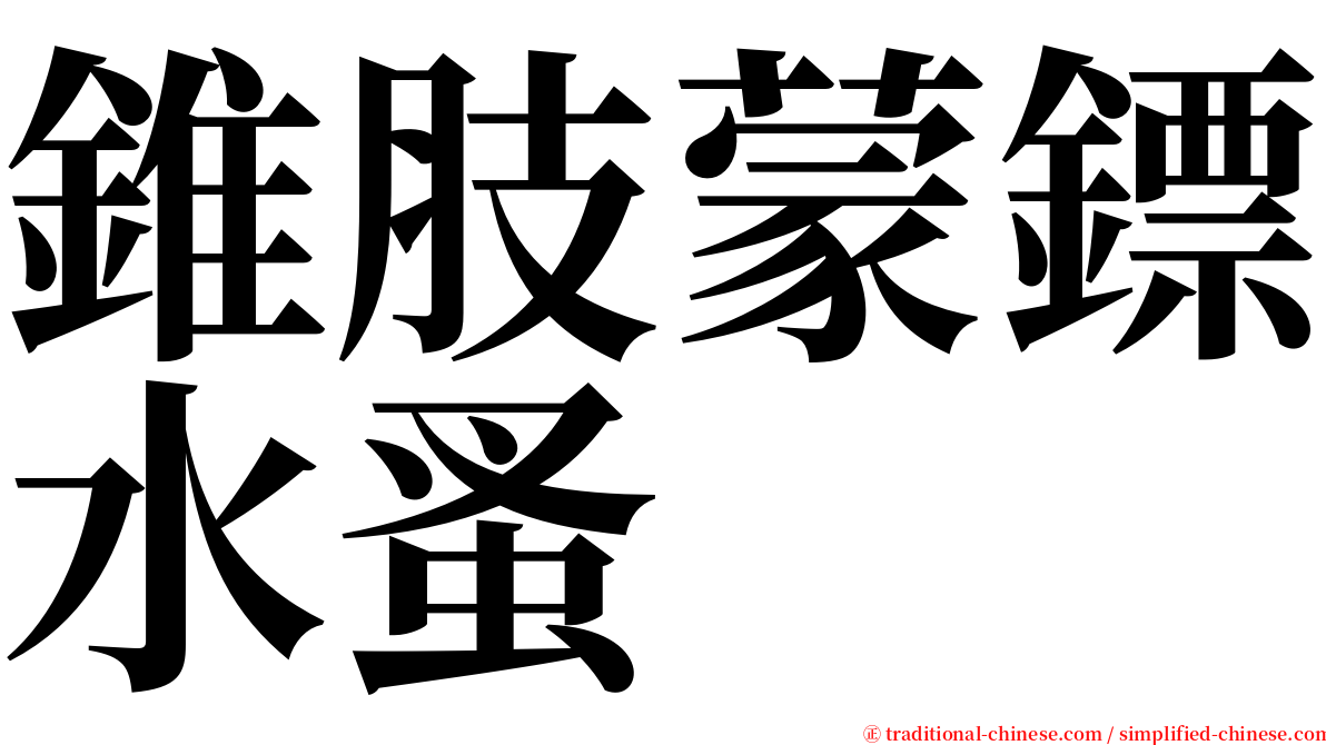 錐肢蒙鏢水蚤 serif font