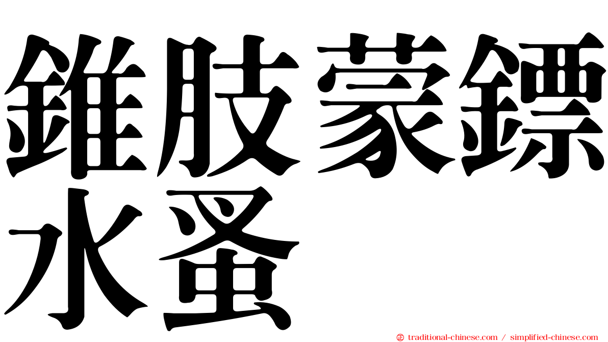 錐肢蒙鏢水蚤