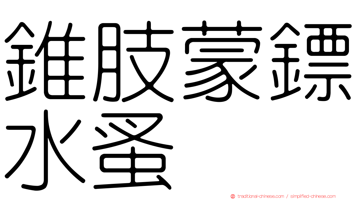 錐肢蒙鏢水蚤