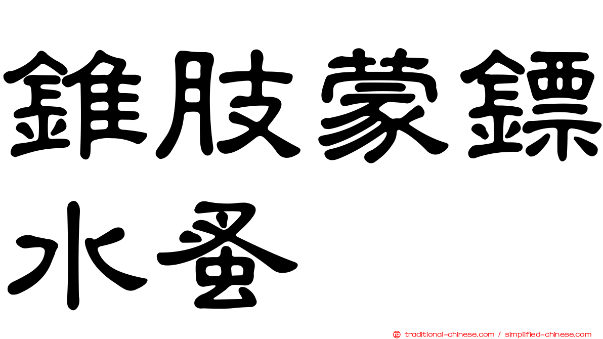 錐肢蒙鏢水蚤