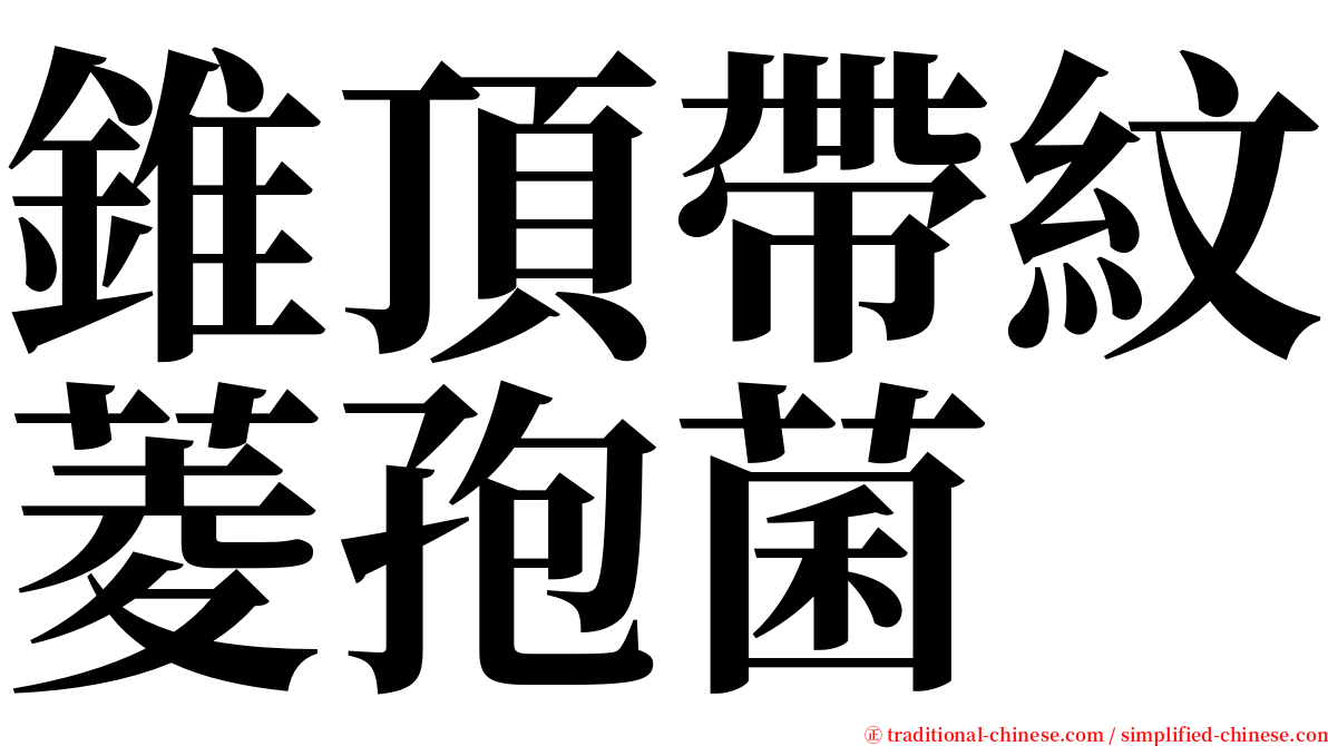 錐頂帶紋菱孢菌 serif font