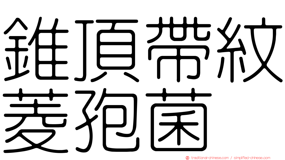 錐頂帶紋菱孢菌