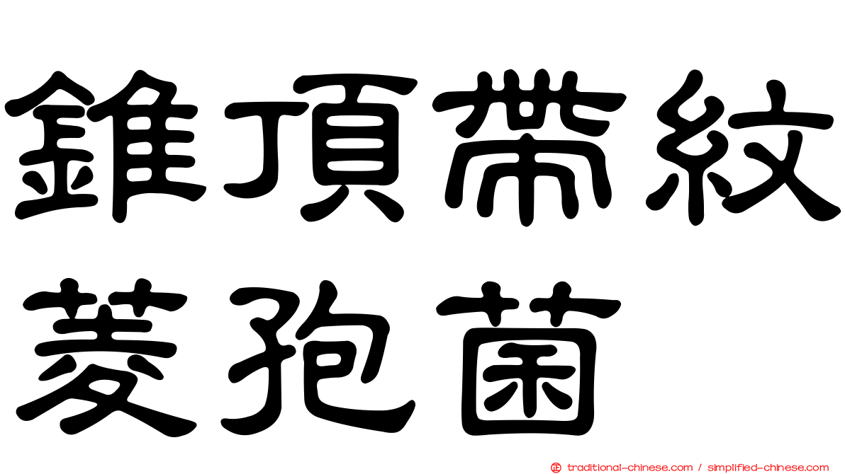 錐頂帶紋菱孢菌