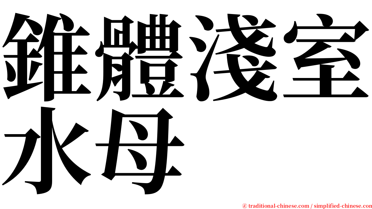 錐體淺室水母 serif font