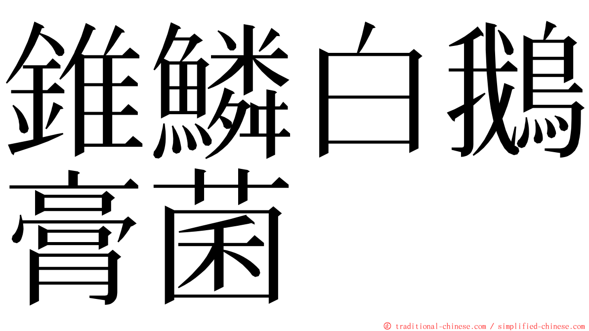 錐鱗白鵝膏菌 ming font