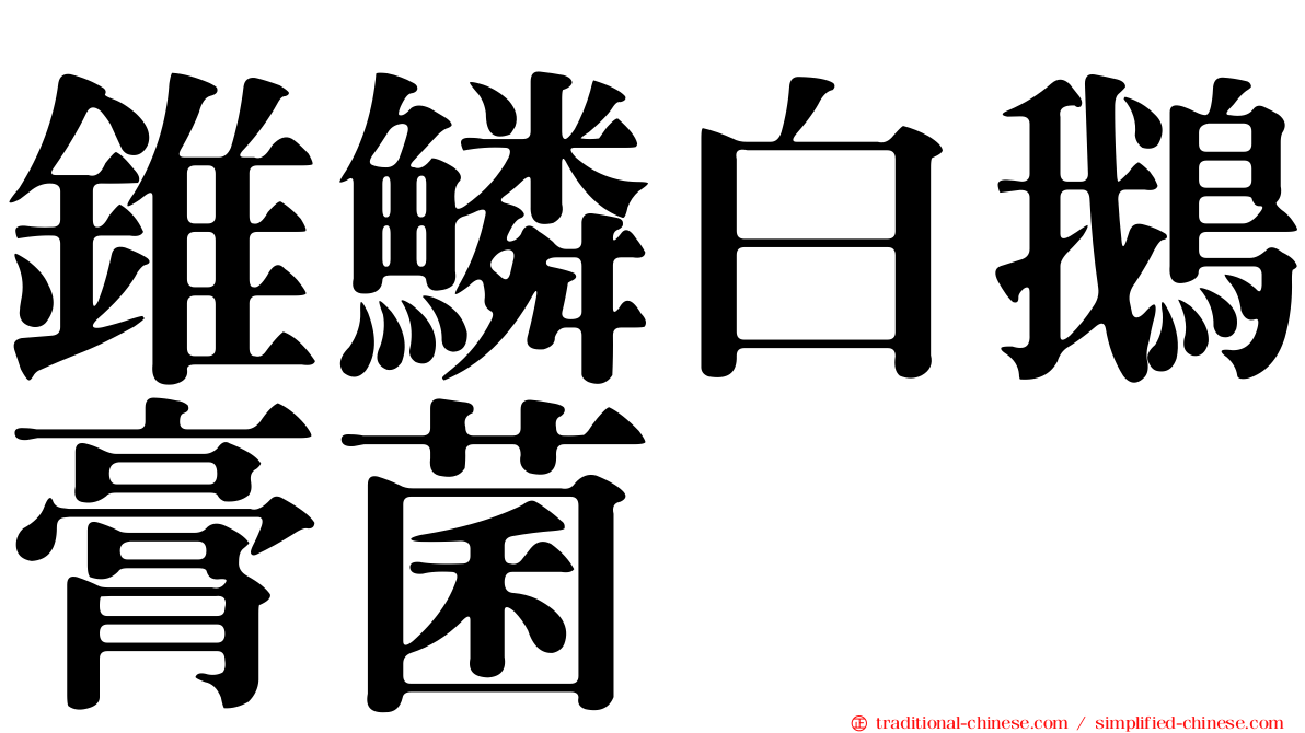 錐鱗白鵝膏菌