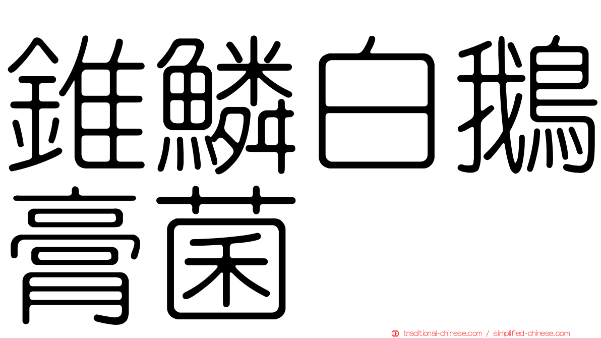 錐鱗白鵝膏菌