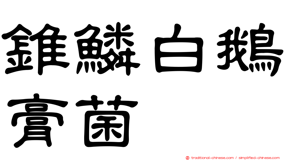 錐鱗白鵝膏菌