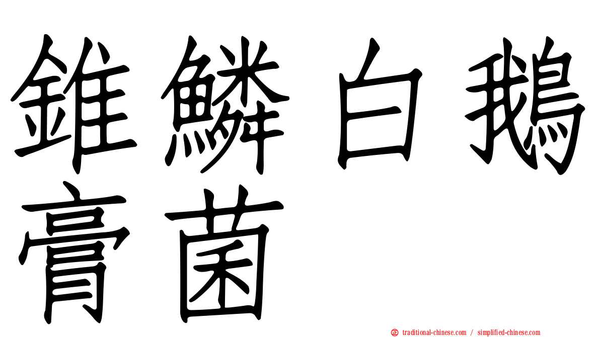 錐鱗白鵝膏菌