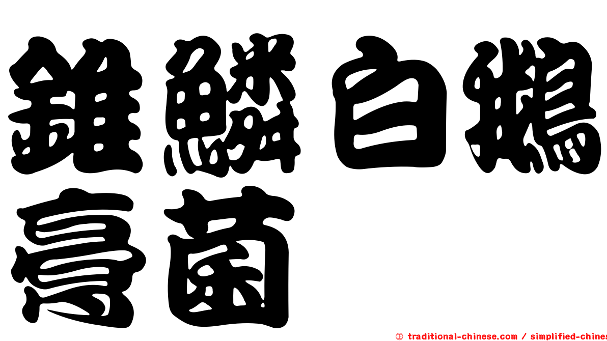 錐鱗白鵝膏菌